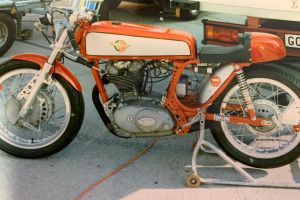 img 125843F4E69F A8DF 3318 3545 85ACFB05D90D